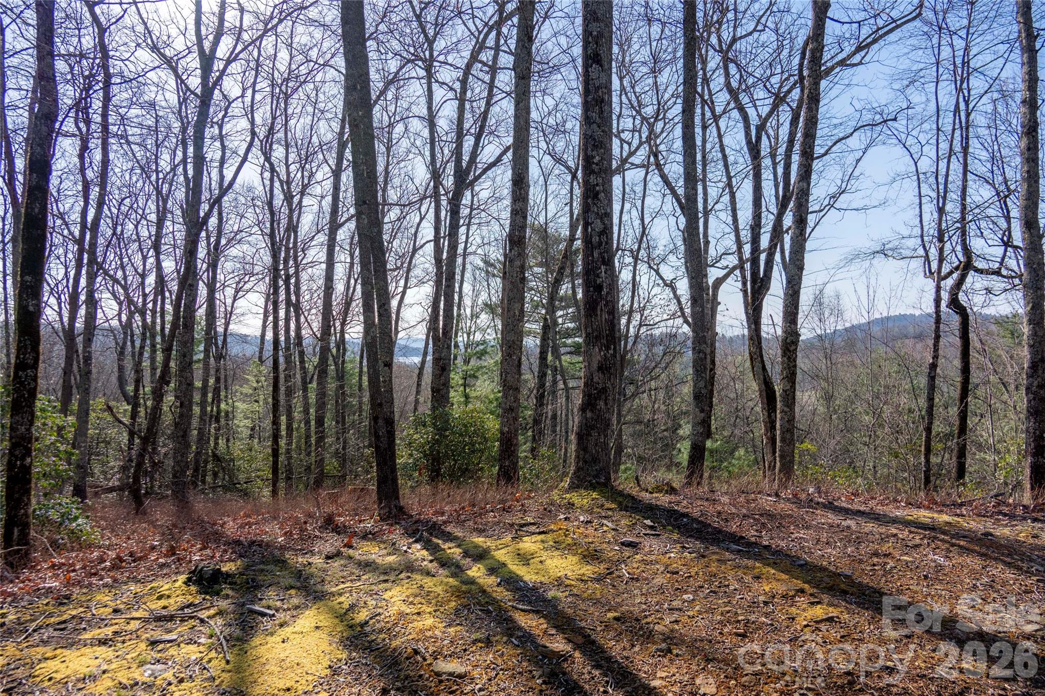 Trp 1 Cardinal Drive W Lake Toxaway NC 28747