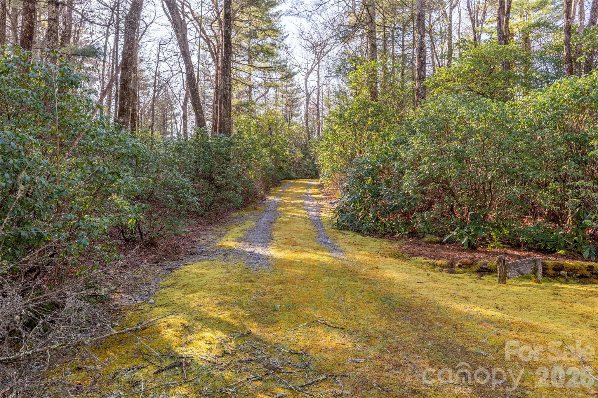 Trp 1 Cardinal Drive W Lake Toxaway NC 28747