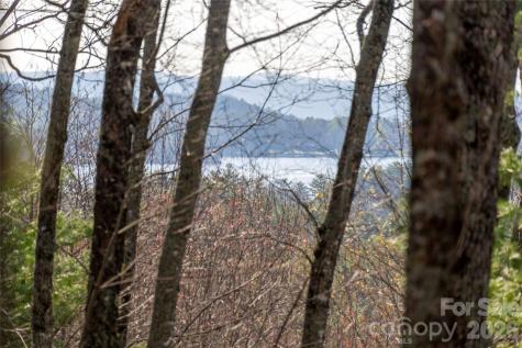 Trp 1 Cardinal Drive W Lake Toxaway NC 28747