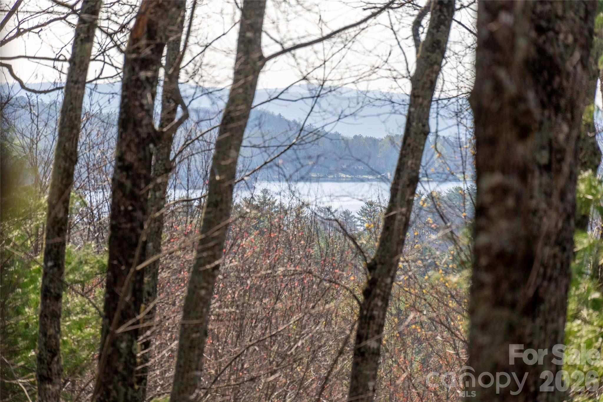 Trp 1 Cardinal Drive W Lake Toxaway NC 28747