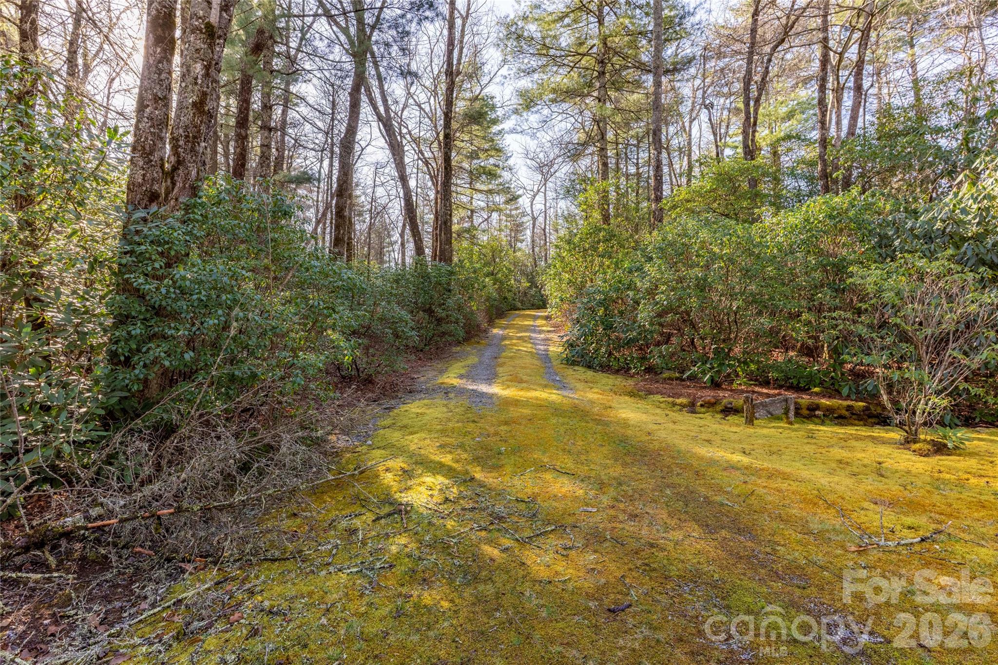 Trp 1 Cardinal Drive W Lake Toxaway NC 28747