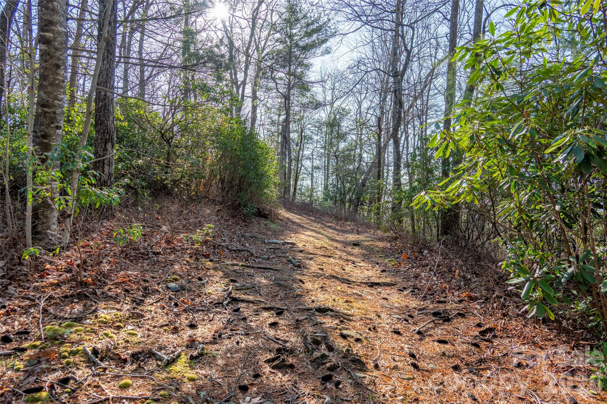 Trp 1 Cardinal Drive W Lake Toxaway NC 28747