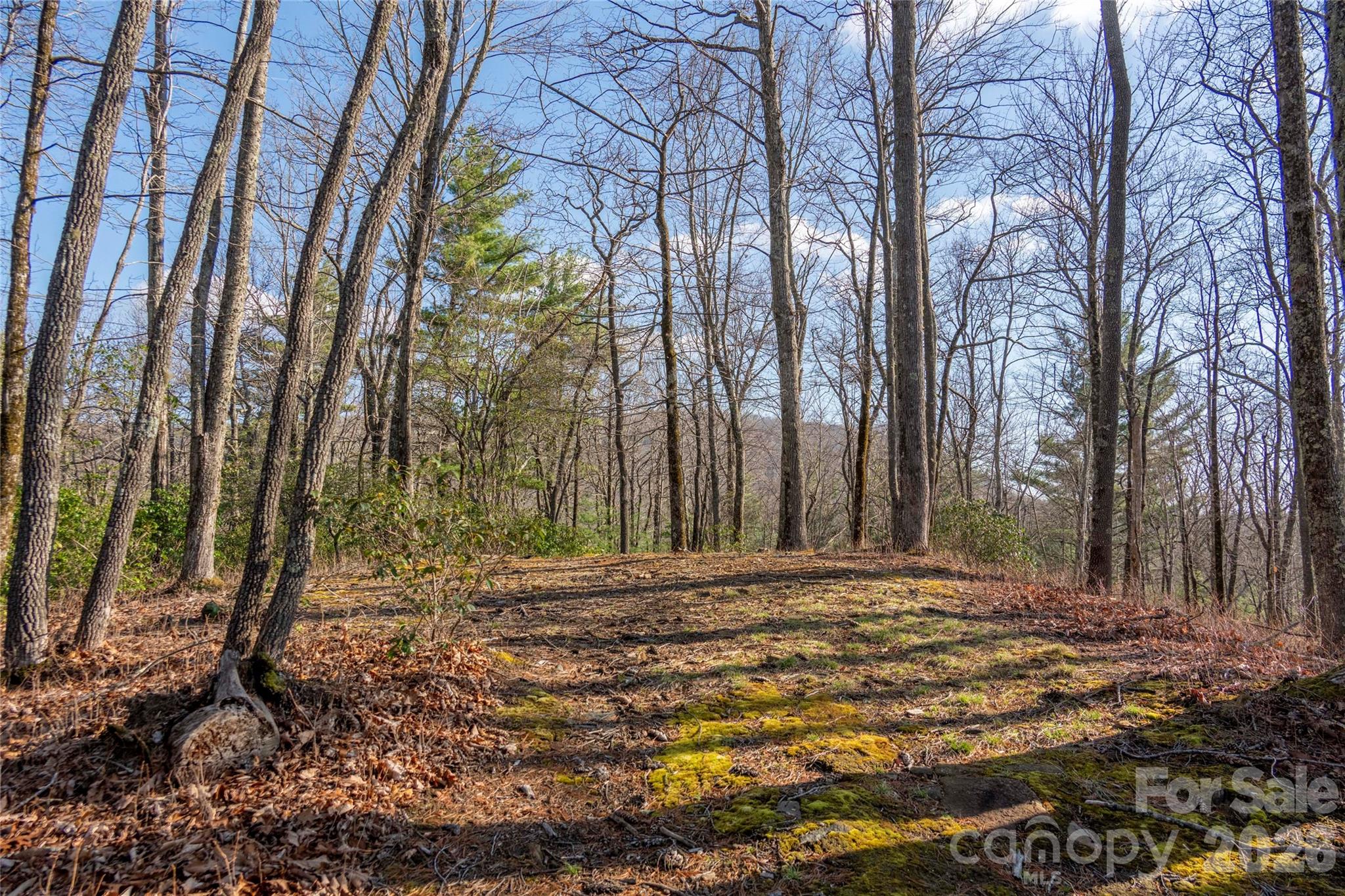 Trp 1 Cardinal Drive W Lake Toxaway NC 28747