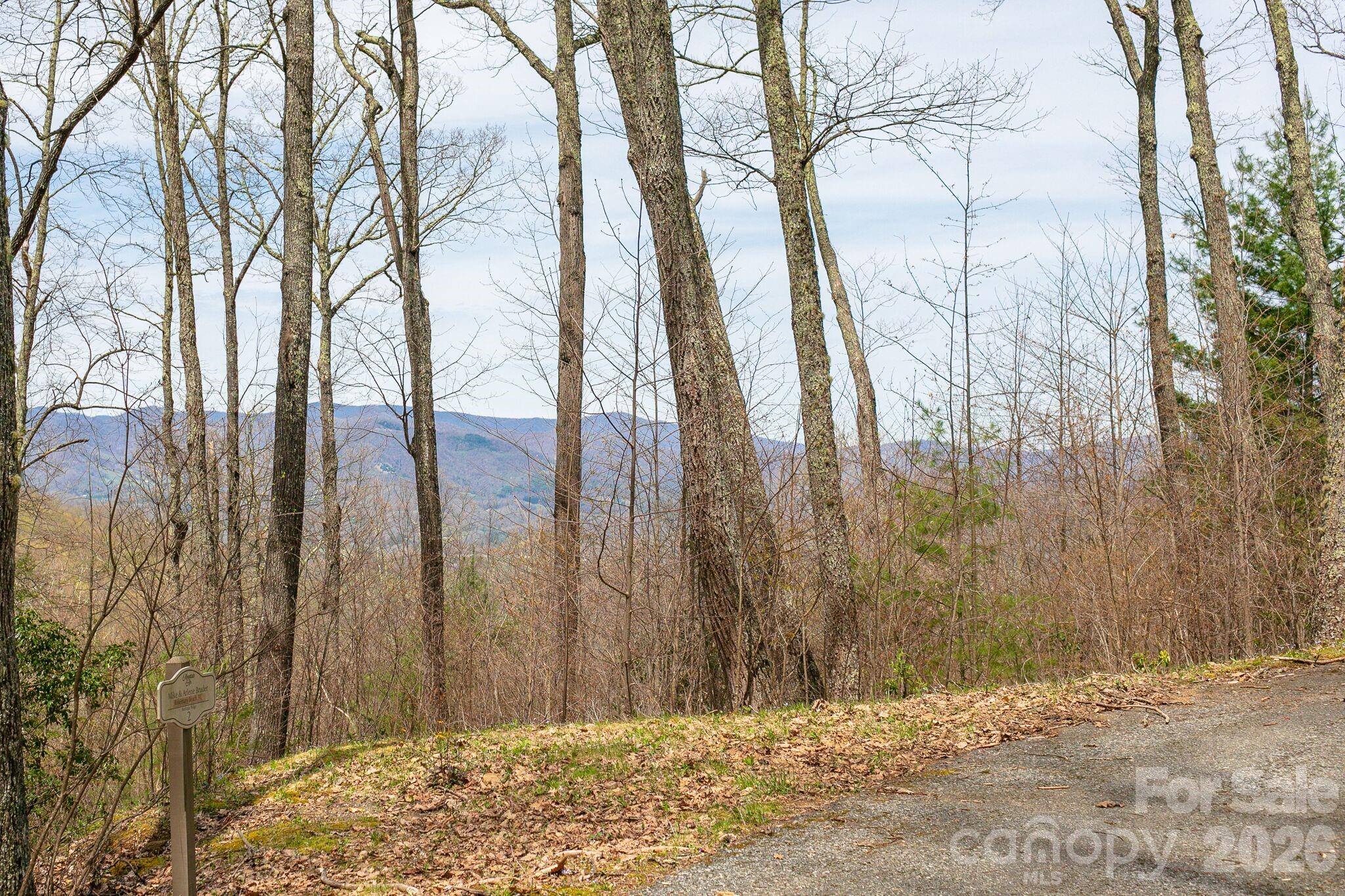Lot 2 Heritage Ridge Loop Burnsville NC 28714