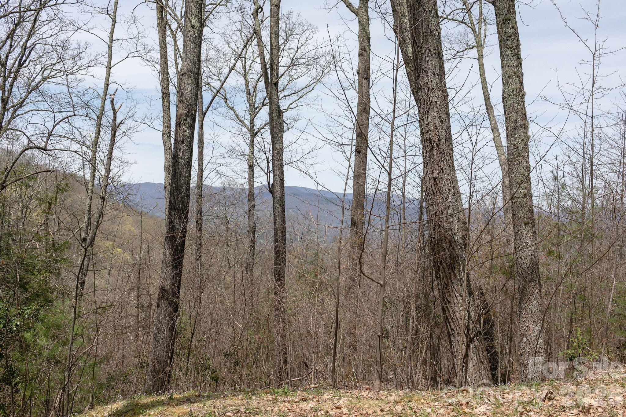 Lot 2 Heritage Ridge Loop Burnsville NC 28714