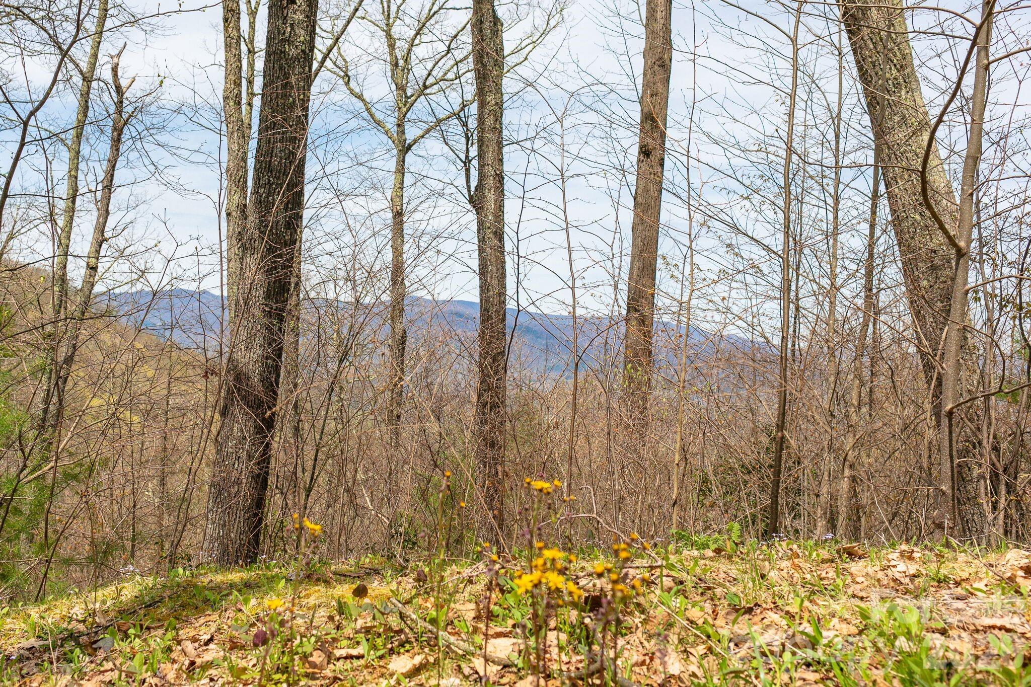 Lot 2 Heritage Ridge Loop Burnsville NC 28714