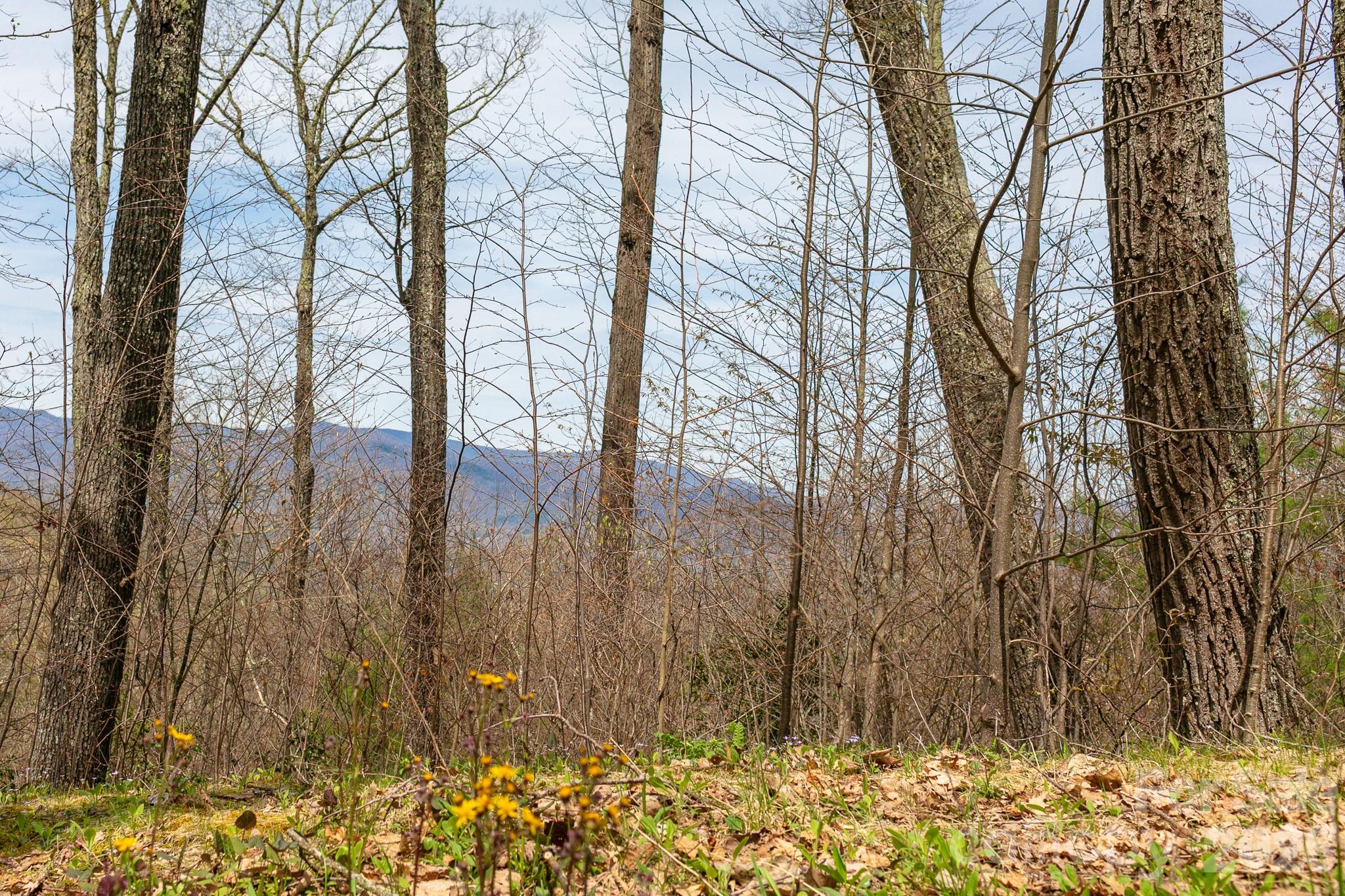 Lot 2 Heritage Ridge Loop Burnsville NC 28714