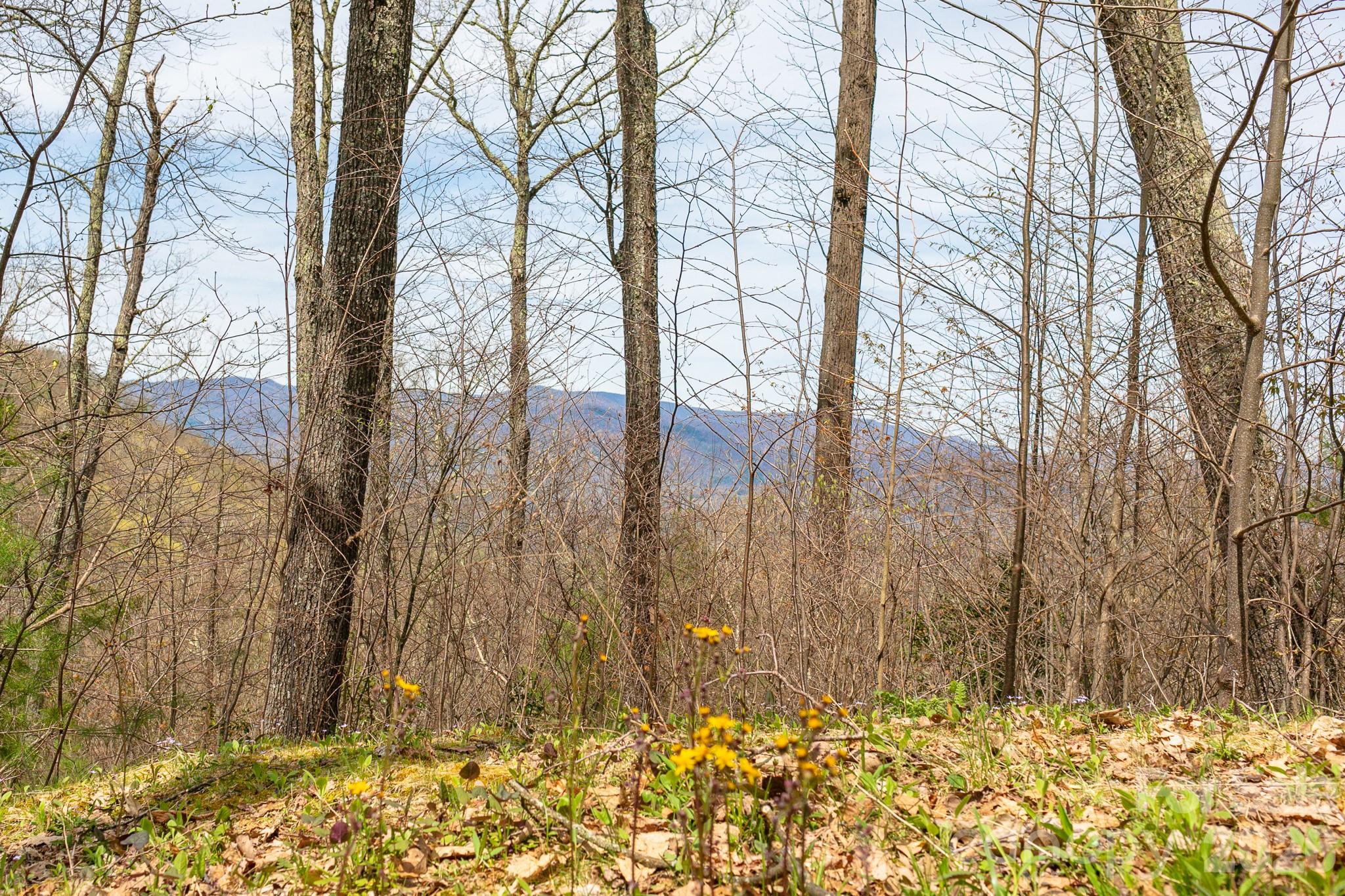 Lot 2 Heritage Ridge Loop Burnsville NC 28714