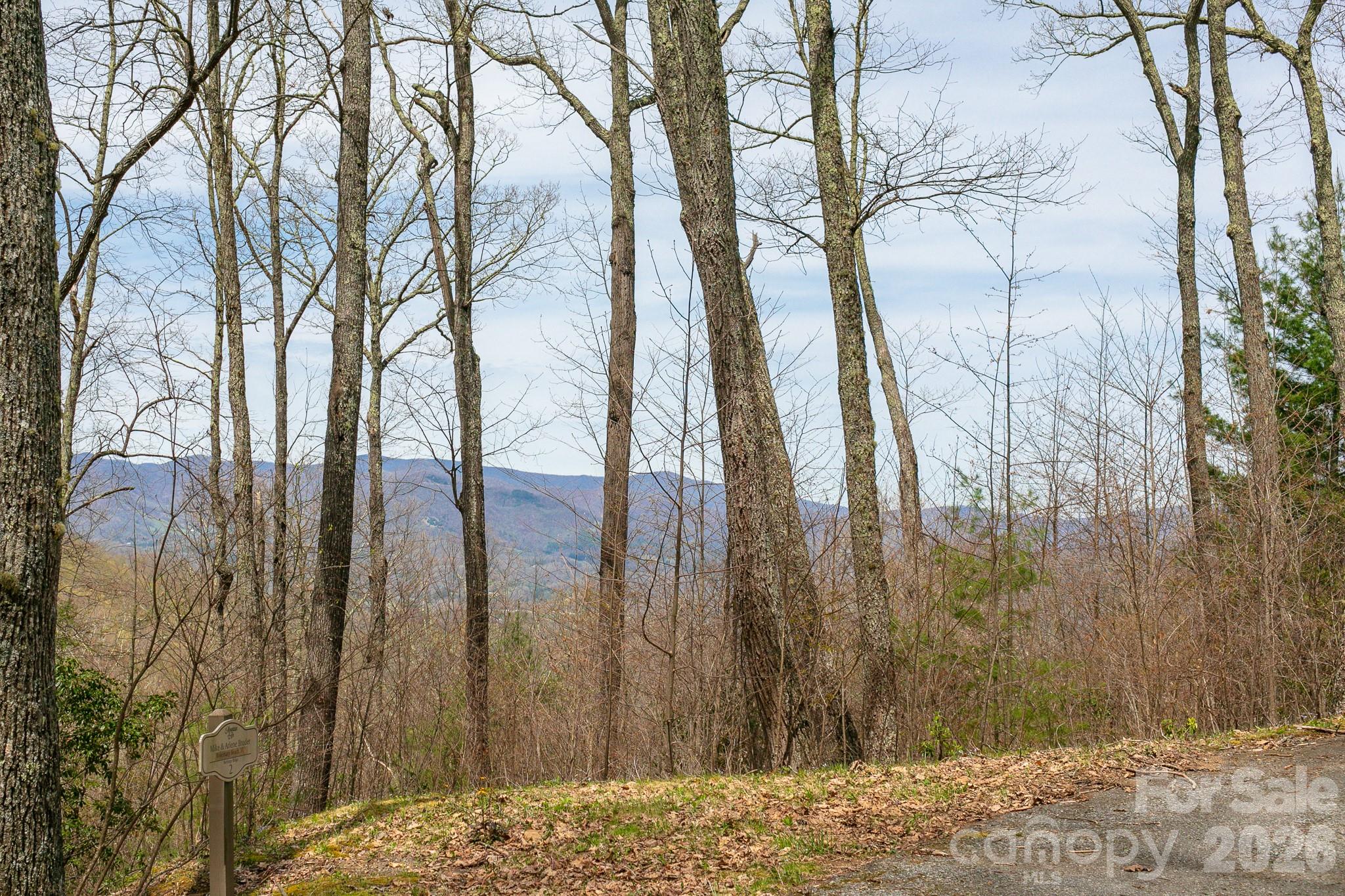 Lot 2 Heritage Ridge Loop Burnsville NC 28714