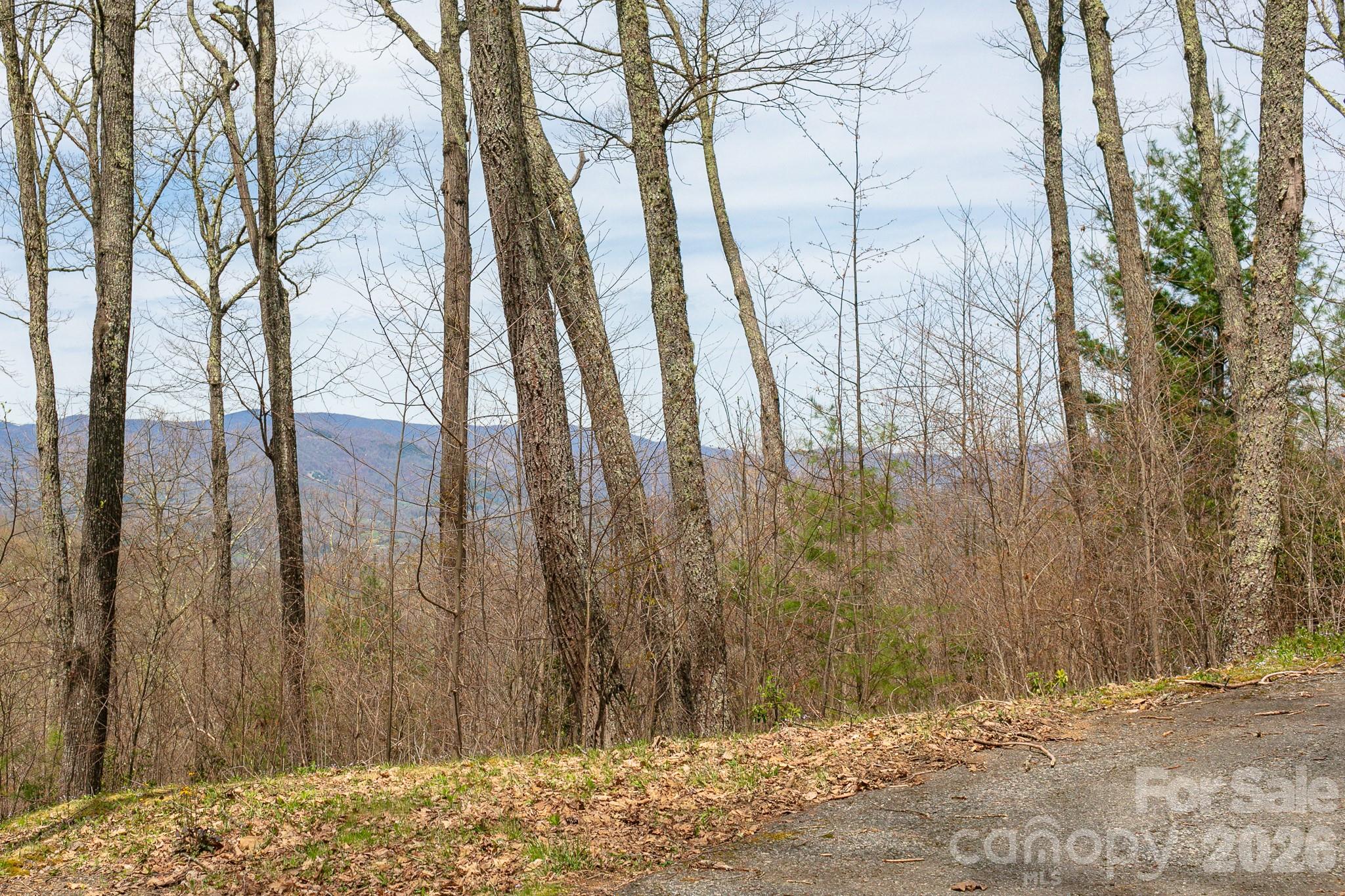 Lot 2 Heritage Ridge Loop Burnsville NC 28714