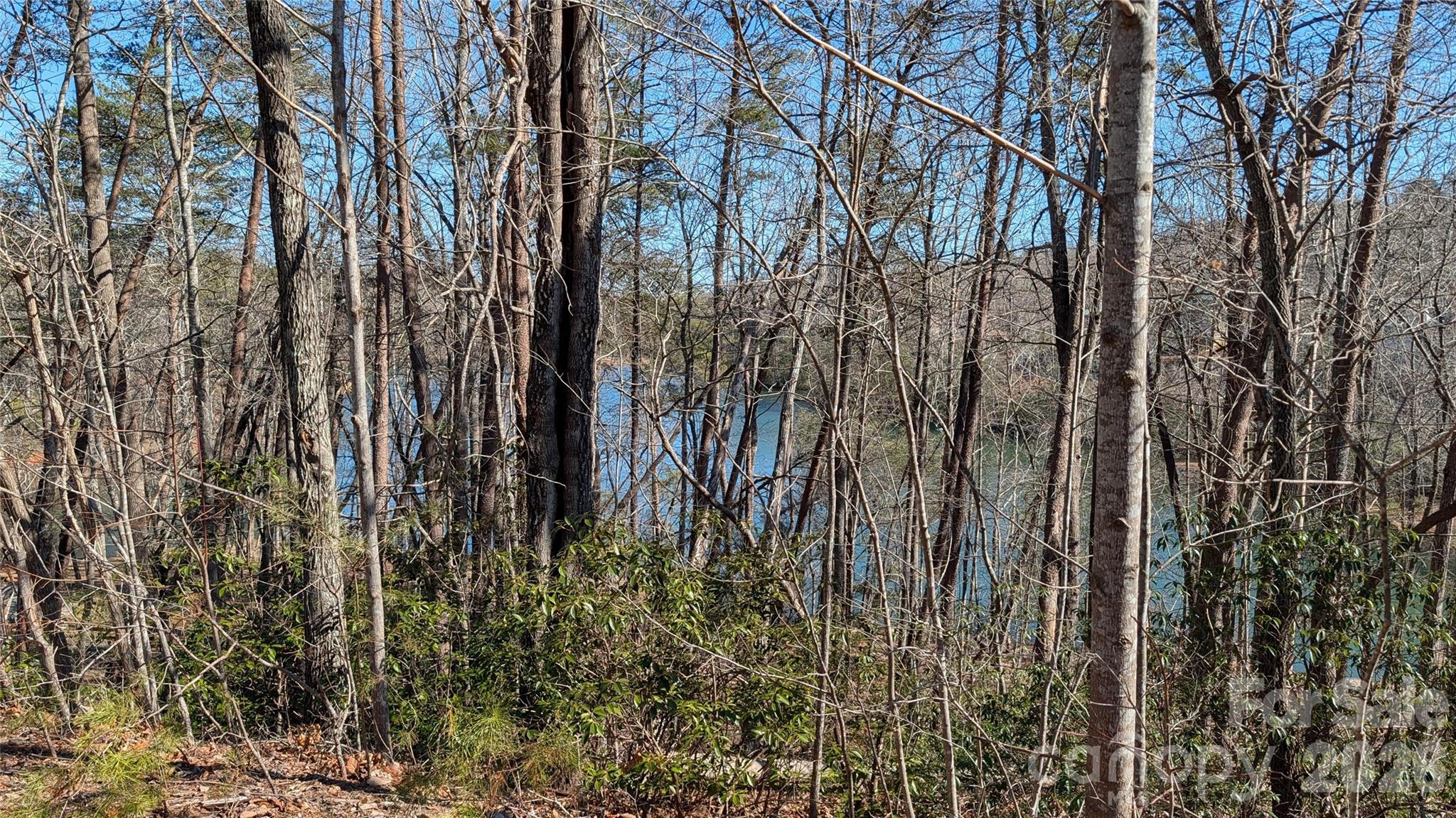 0 Lakewood Drive Lake Lure NC 28746