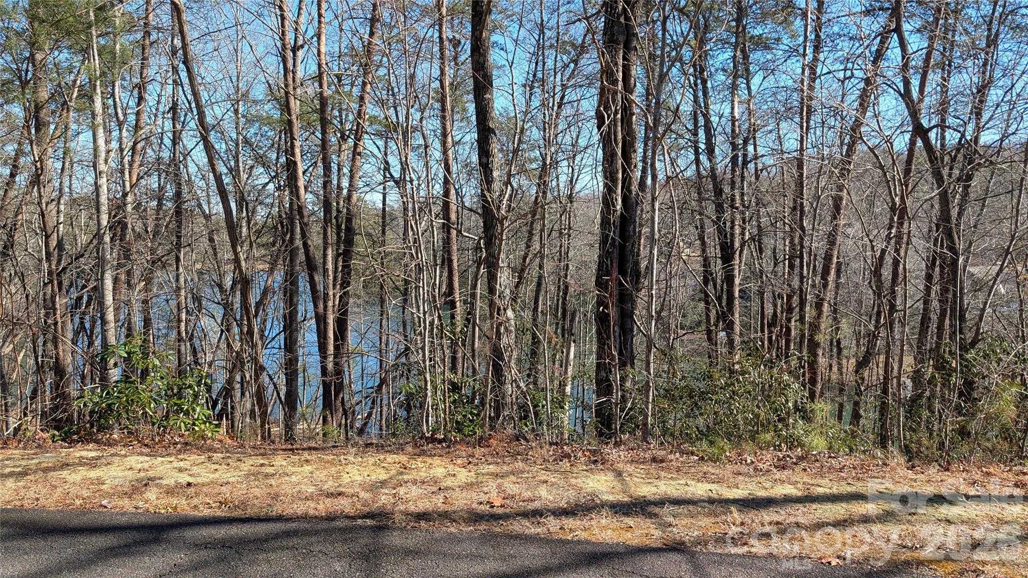 0 Lakewood Drive Lake Lure NC 28746