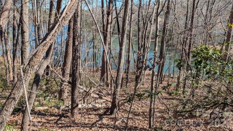 0 Lakewood Drive Lake Lure NC 28746