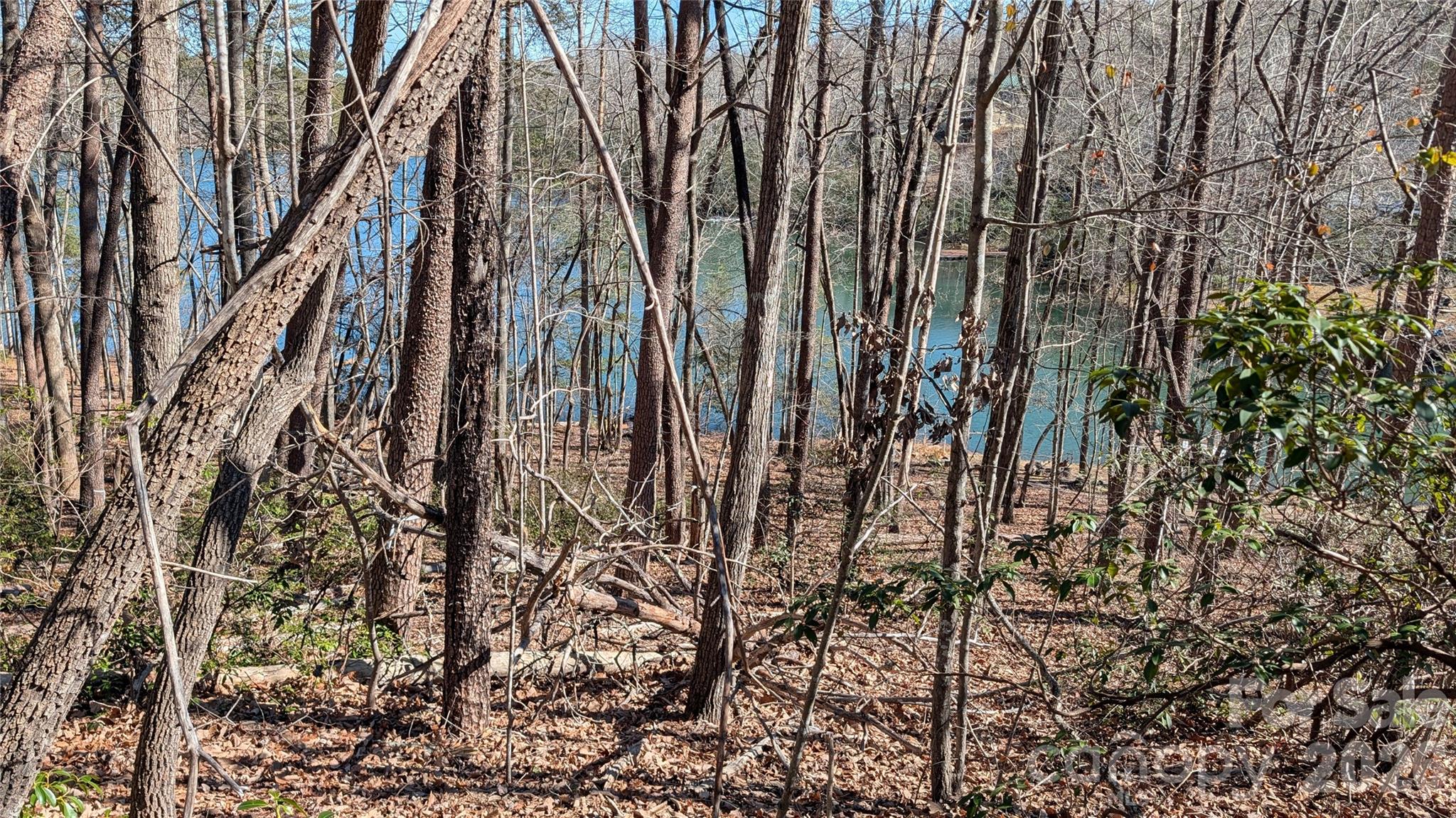 0 Lakewood Drive Lake Lure NC 28746