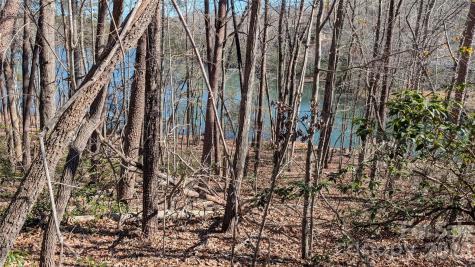 0 Lakewood Drive Lake Lure NC 28746