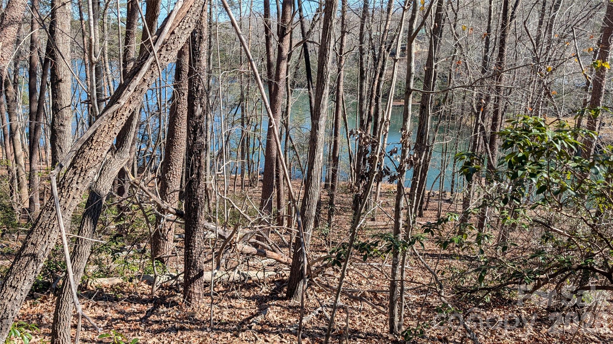 0 Lakewood Drive Lake Lure NC 28746