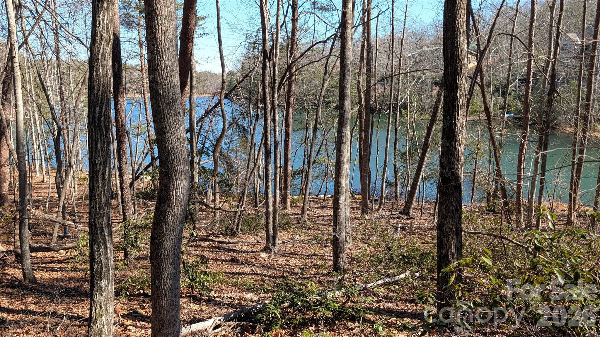 0 Lakewood Drive Lake Lure NC 28746