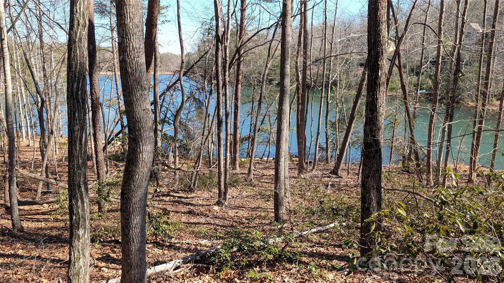 0 Lakewood Drive Lake Lure NC 28746
