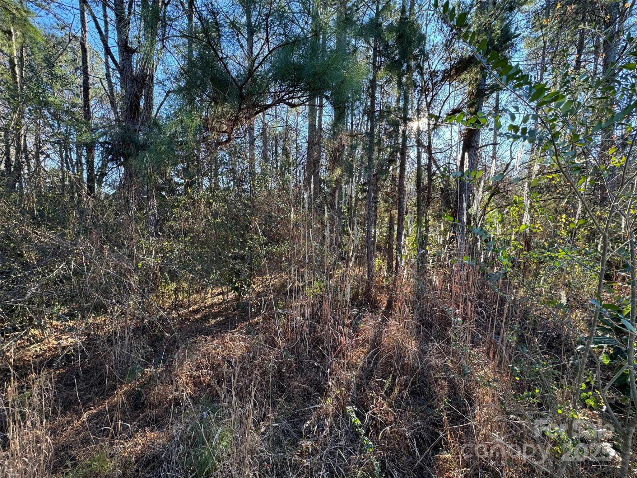 0000 Dogwood Lane Badin NC 28009