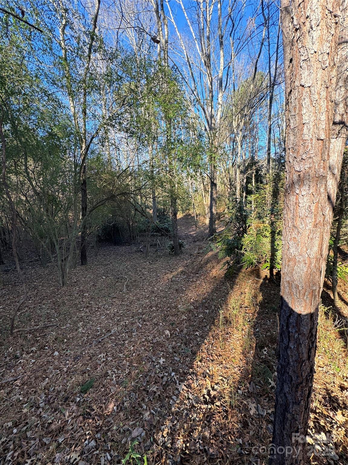 0000 Dogwood Lane Badin NC 28009