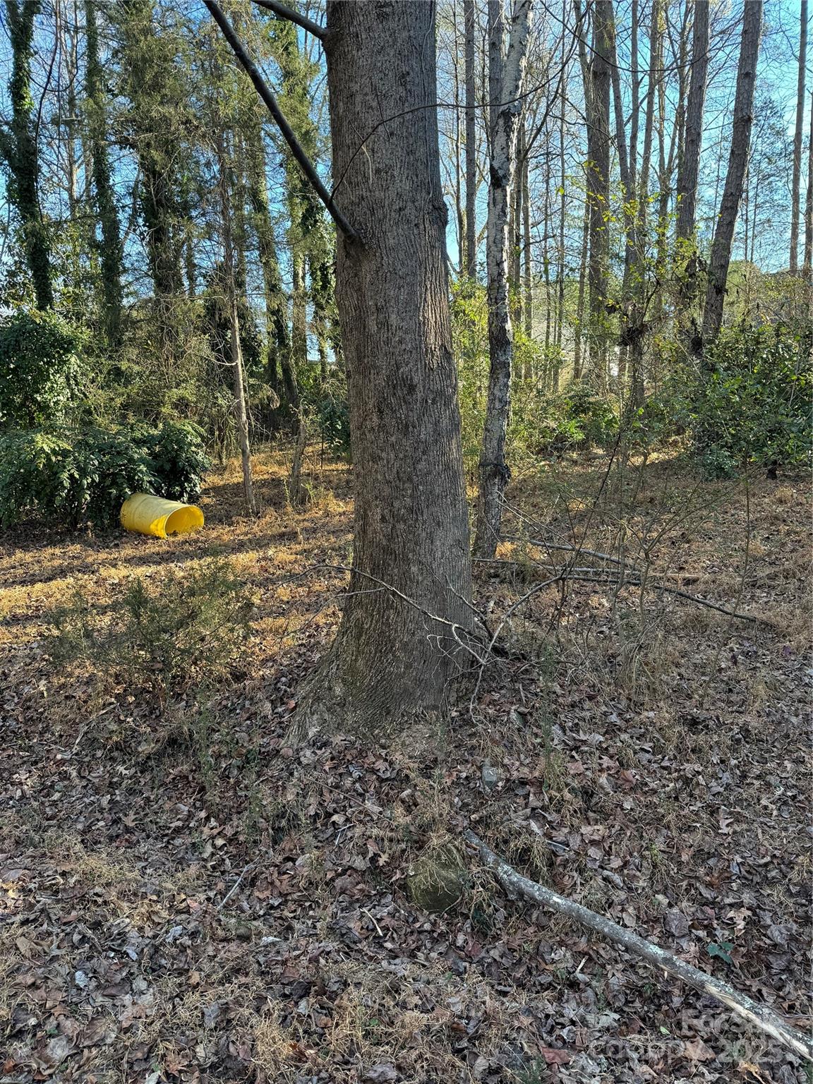 0000 Dogwood Lane Badin NC 28009