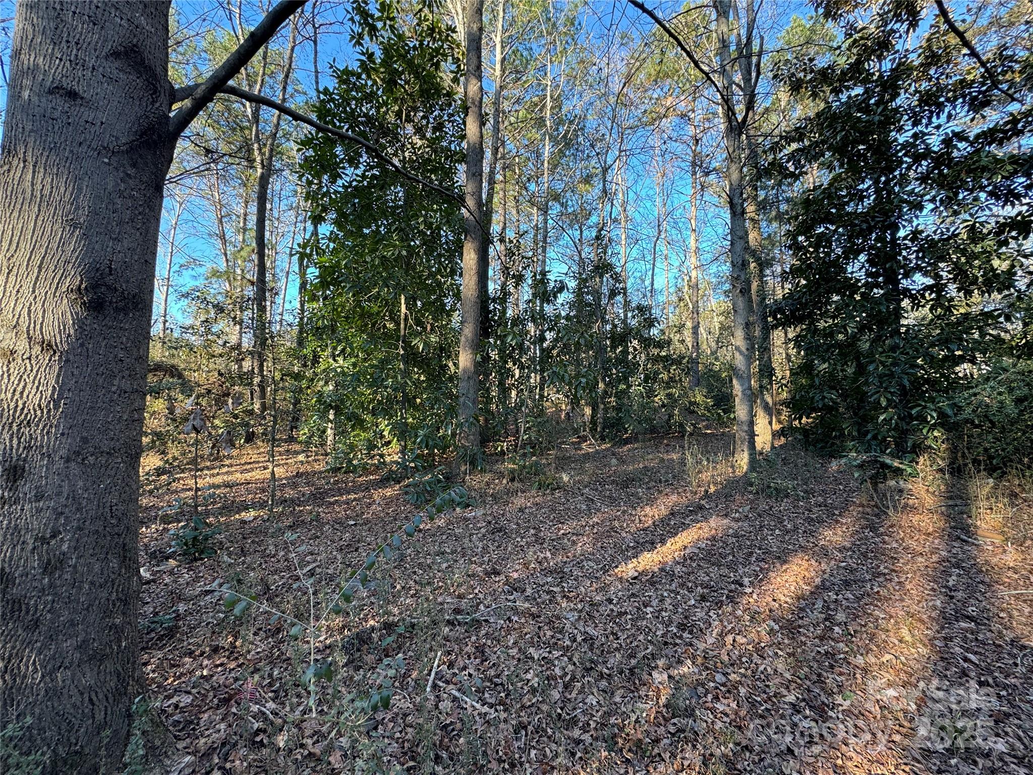 0000 Dogwood Lane Badin NC 28009