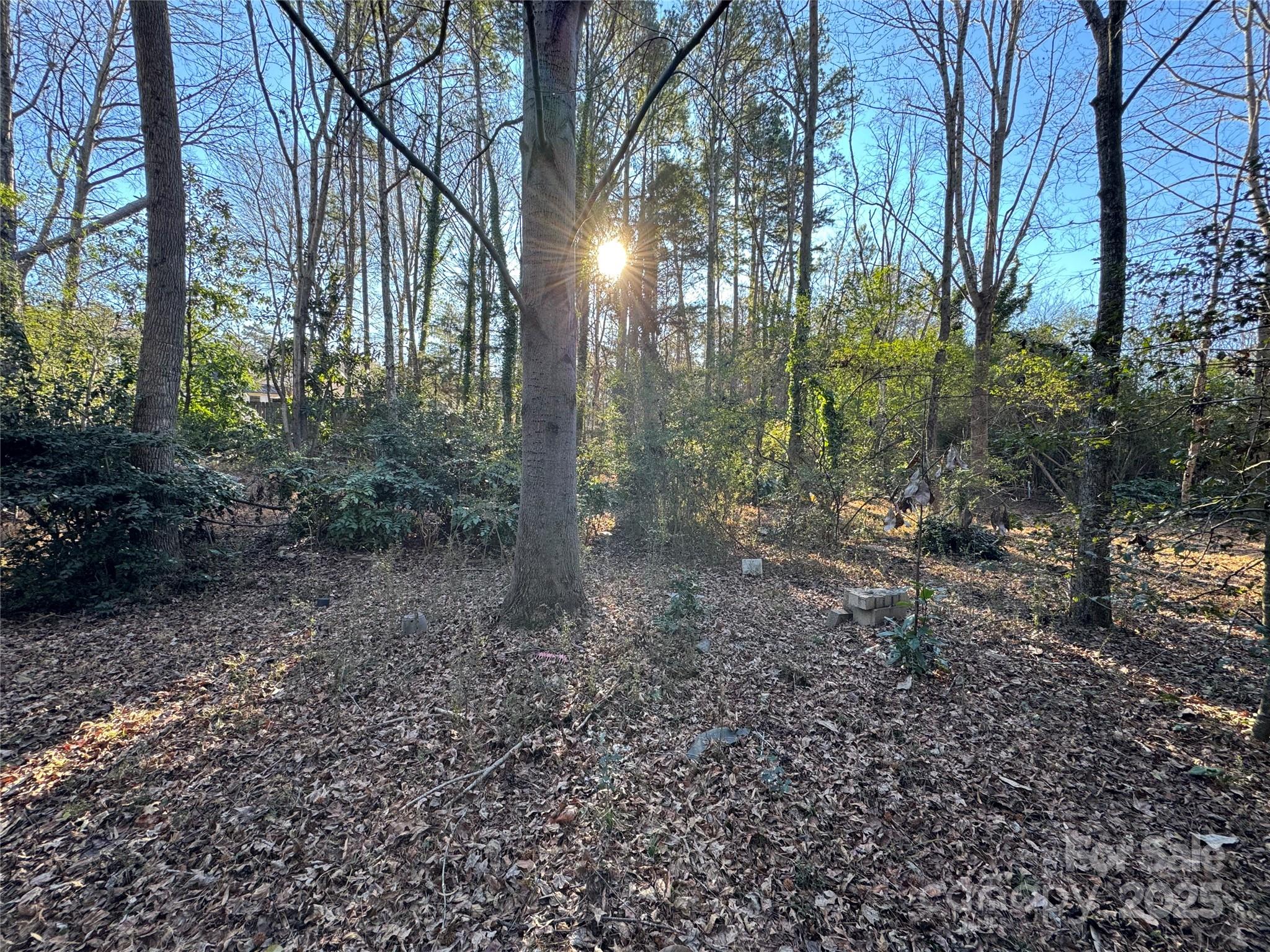 0000 Dogwood Lane Badin NC 28009