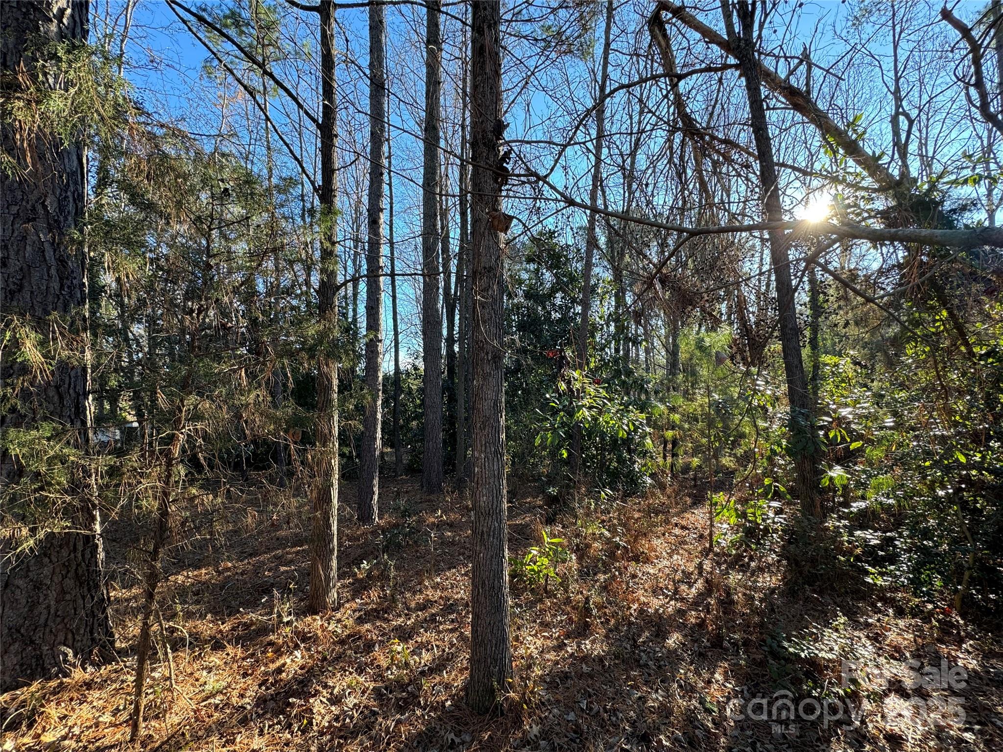 0000 Dogwood Lane Badin NC 28009