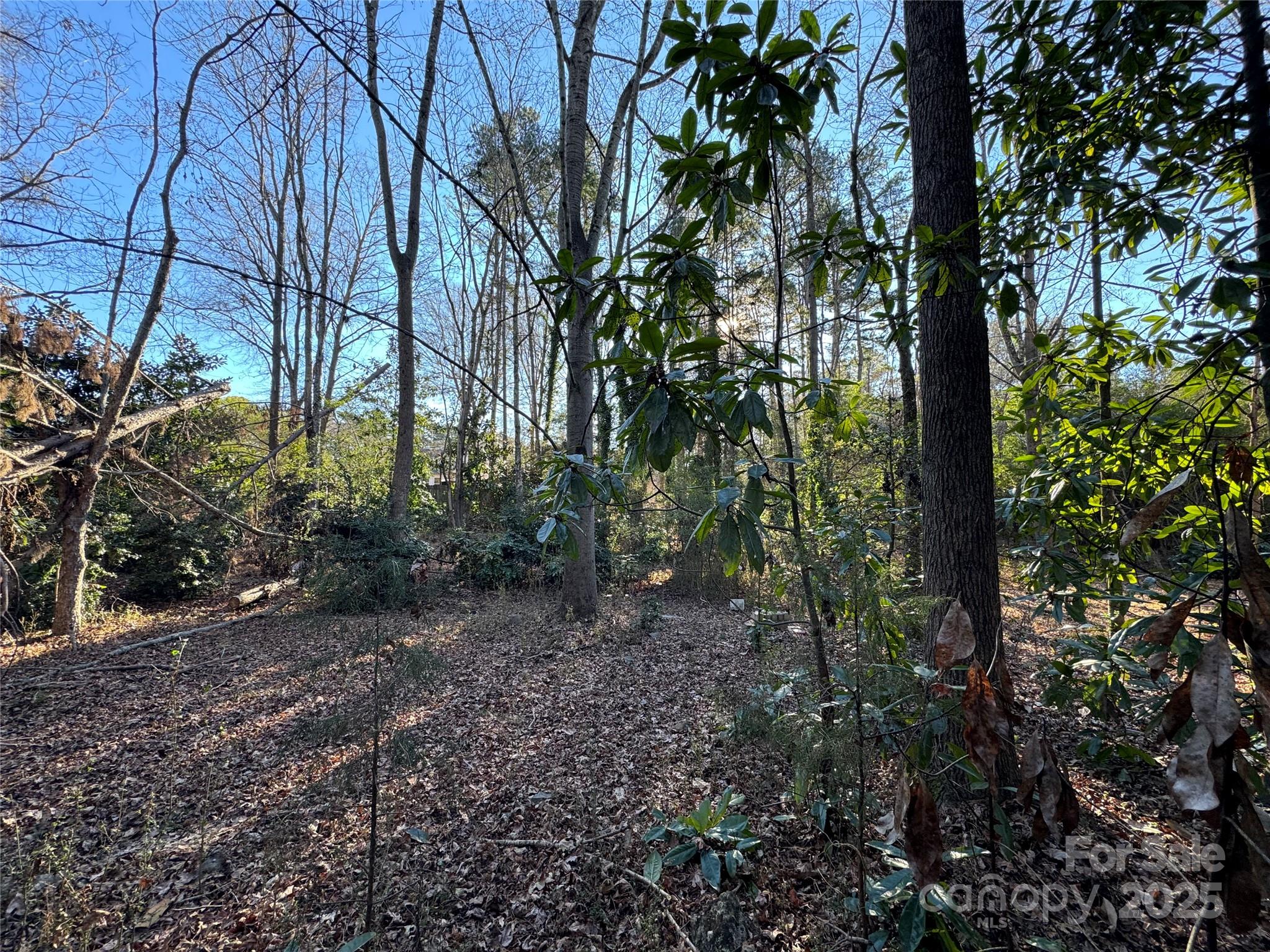 0000 Dogwood Lane Badin NC 28009