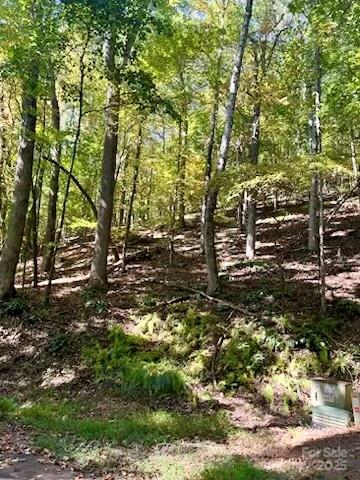 Tbd Hickory Vista Lane Mills River NC 28759