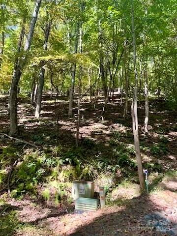 Tbd Hickory Vista Lane Mills River NC 28759