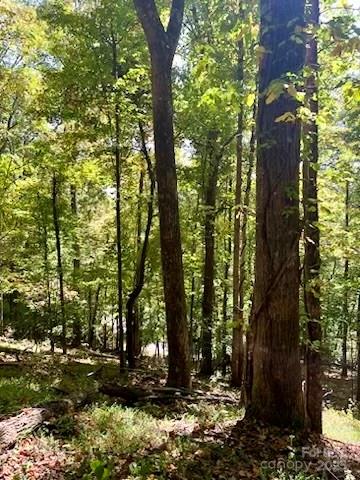 Tbd Hickory Vista Lane Mills River NC 28759