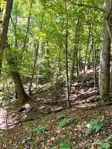 Tbd Hickory Vista Lane Mills River NC 28759