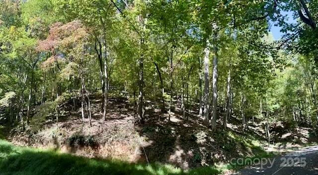 Tbd Hickory Vista Lane Mills River NC 28759