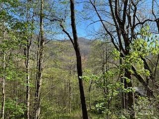 7A Chestnut Flats Lane Waynesville NC 28786