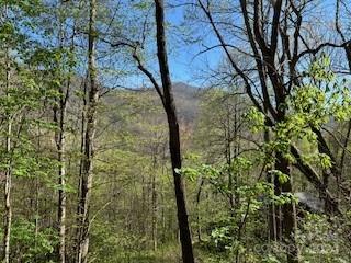 7A Chestnut Flats Lane Waynesville NC 28786