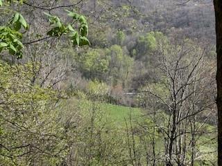 7A Chestnut Flats Lane Waynesville NC 28786