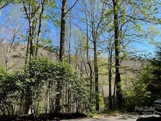 7A Chestnut Flats Lane Waynesville NC 28786