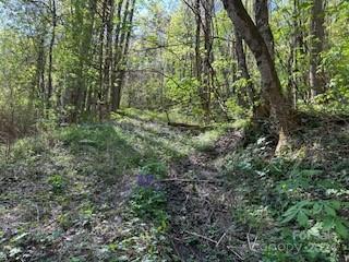 7A Chestnut Flats Lane Waynesville NC 28786