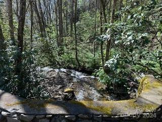 7A Chestnut Flats Lane Waynesville NC 28786