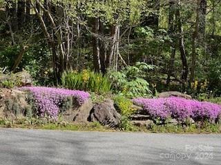 7A Chestnut Flats Lane Waynesville NC 28786