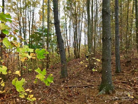 1.62 Acres, Lot 204b Johns Ridge Parkway Lenoir NC 28645