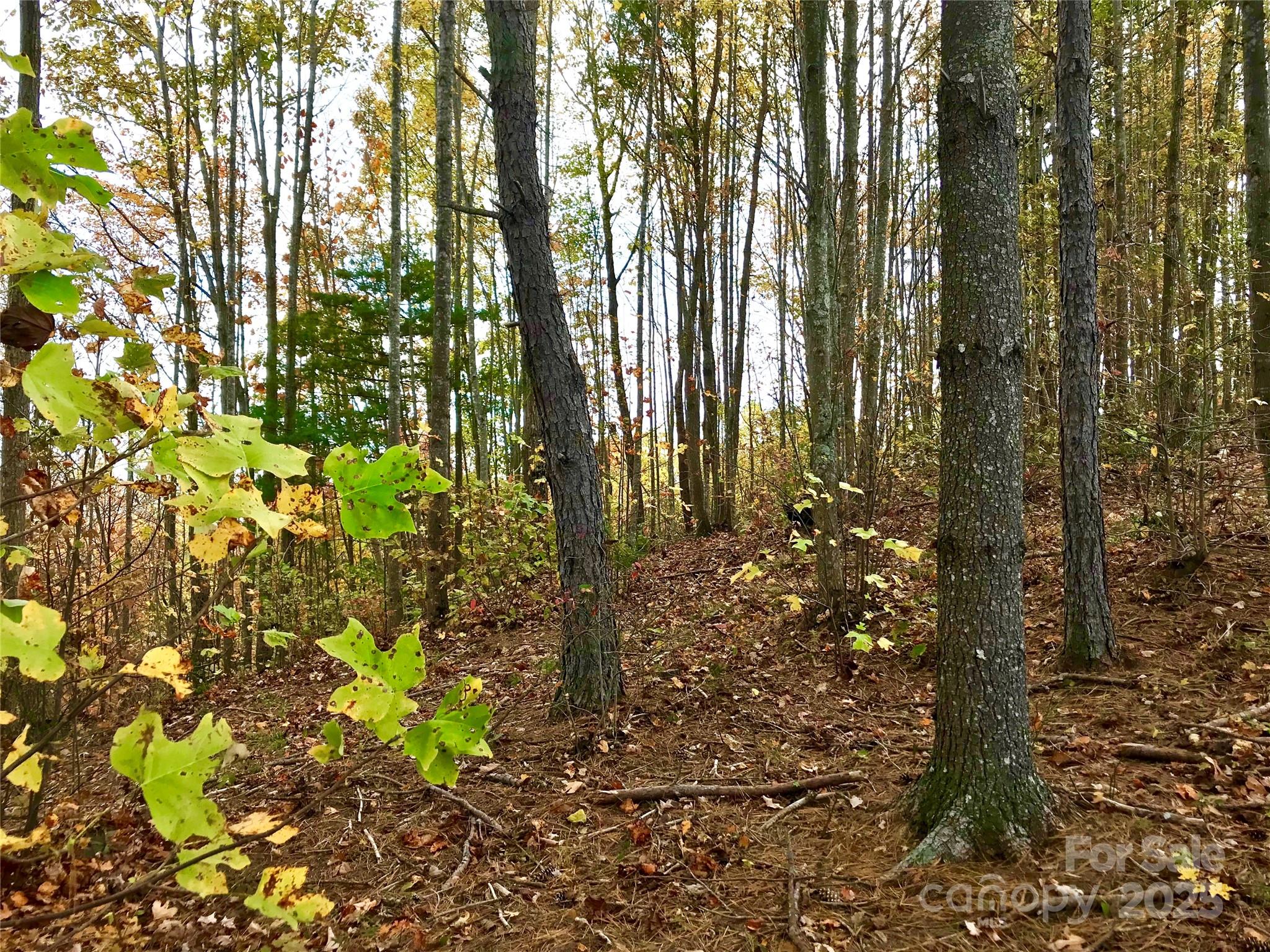 1.62 Acres, Lot 204b Johns Ridge Parkway Lenoir NC 28645
