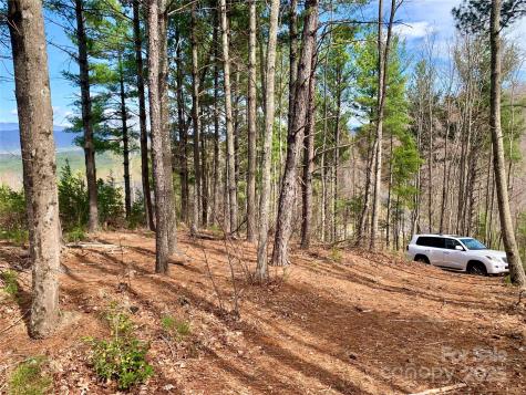 1.62 Acres, Lot 204b Johns Ridge Parkway Lenoir NC 28645