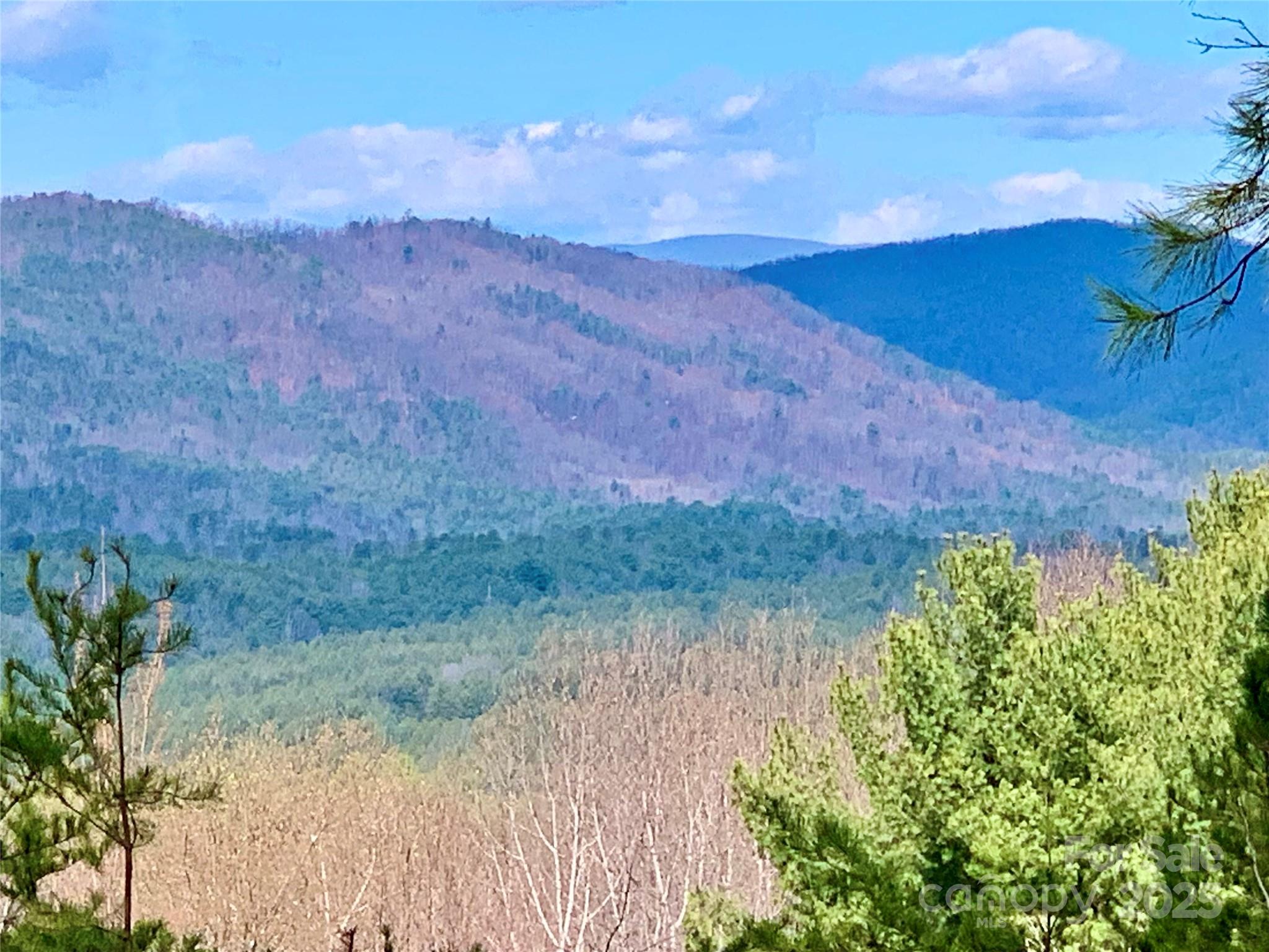 1.62 Acres, Lot 204b Johns Ridge Parkway Lenoir NC 28645
