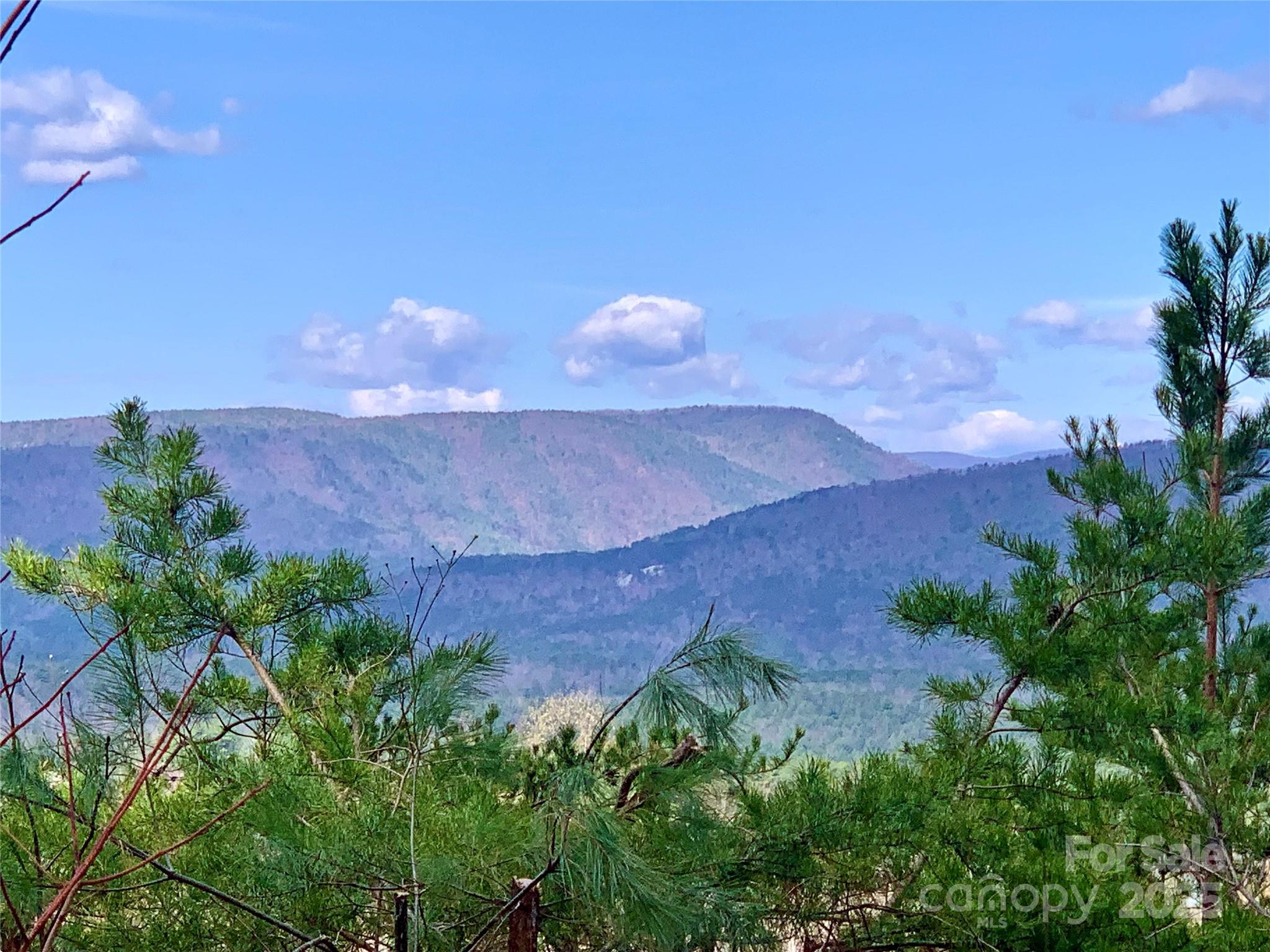 1.62 Acres, Lot 204b Johns Ridge Parkway Lenoir NC 28645