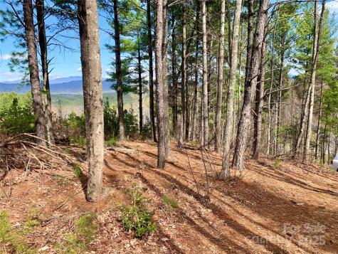 1.62 Acres, Lot 204b Johns Ridge Parkway Lenoir NC 28645