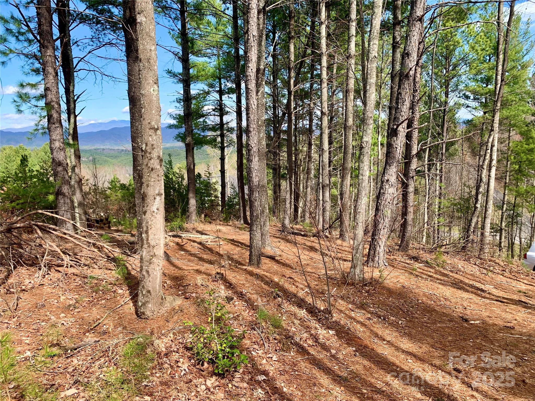1.62 Acres, Lot 204b Johns Ridge Parkway Lenoir NC 28645