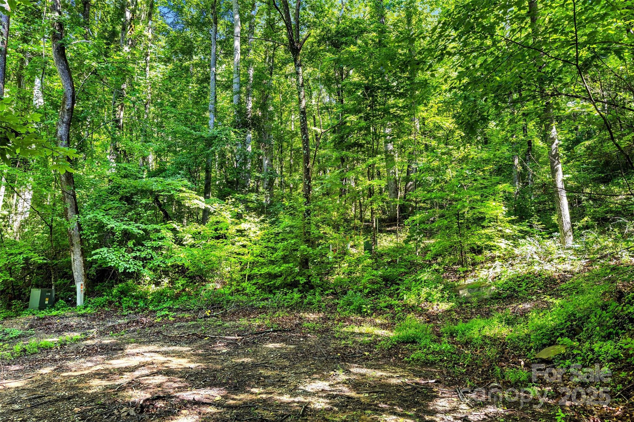 Lot #76 Hunnicut Spur Road Marion NC 28752