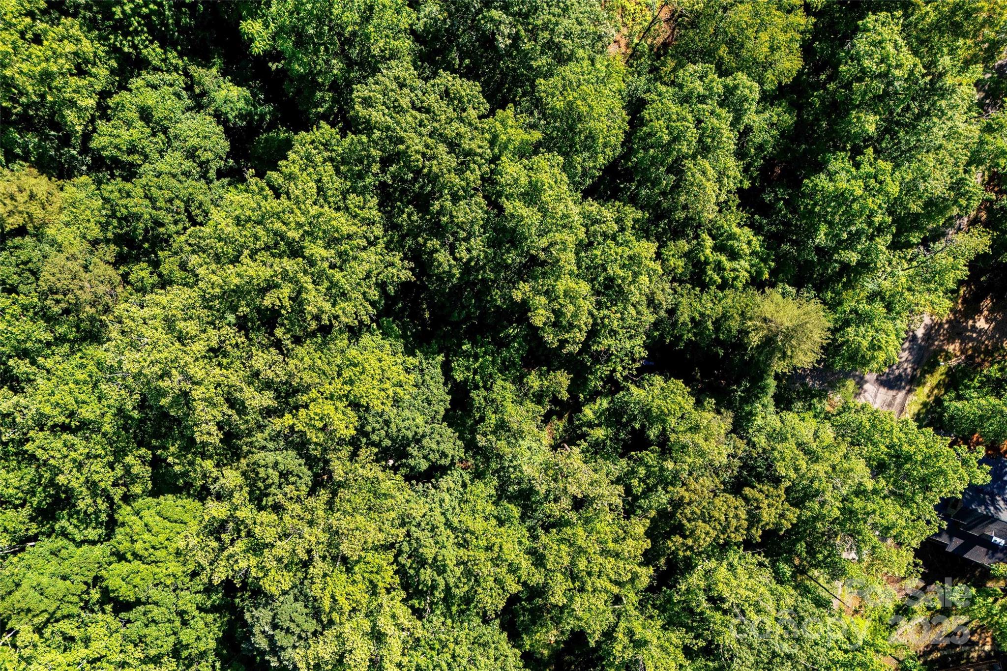 Lot #76 Hunnicut Spur Road Marion NC 28752